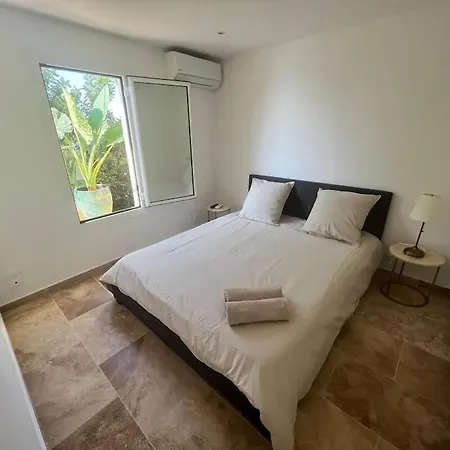 Entre Les Citronniers Et La