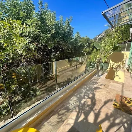 Entre Les Citronniers Et La * Èze