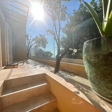 Entre Les Citronniers Et La